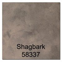 58337 Shagbark