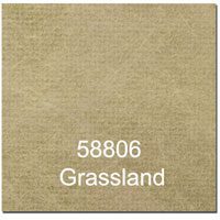 58806 Grassland